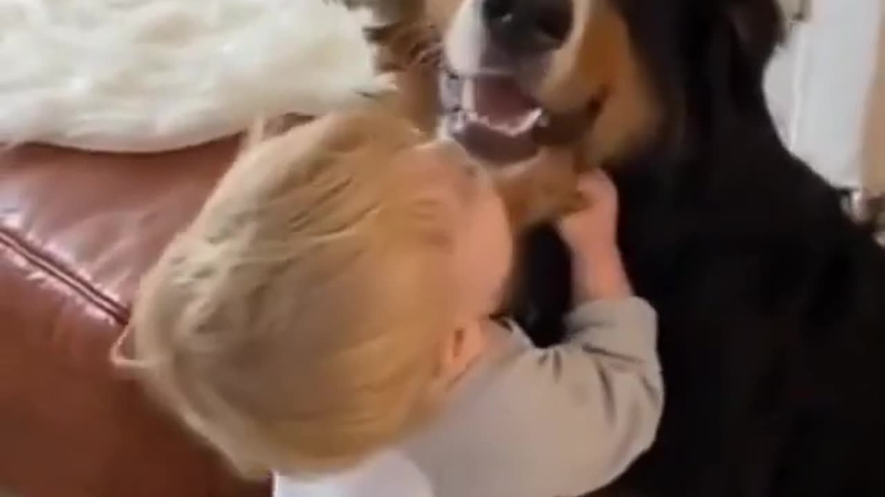 Little baby enjoy with his puppy