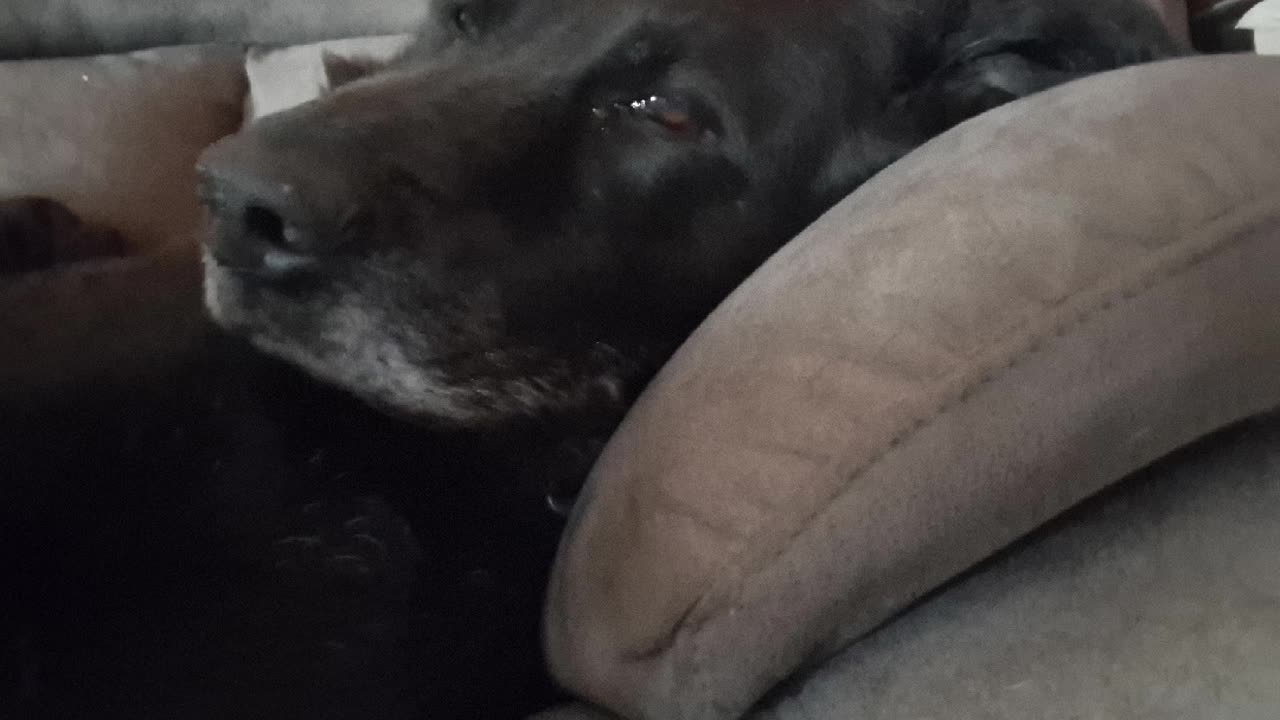 Post Love full song ( Raw John)