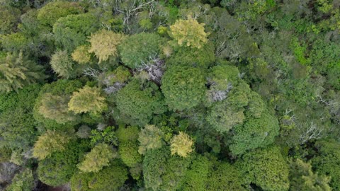 The.Green.Planet.S01E05.1080p.BluRay.x264-GREENFiNGERS