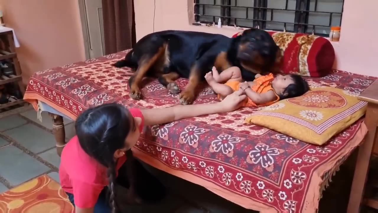 Cute baby playing with dog