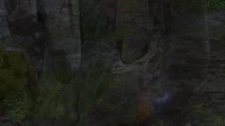 What's New in the Elden Ring Thanksgiving Update