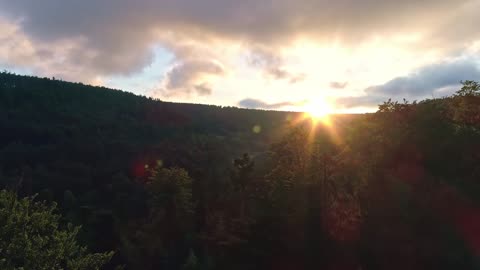 Sunrise Over Forest - Drone Footage