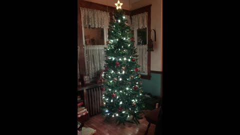 Linus And Lucy on our 2019 Christmas tree.