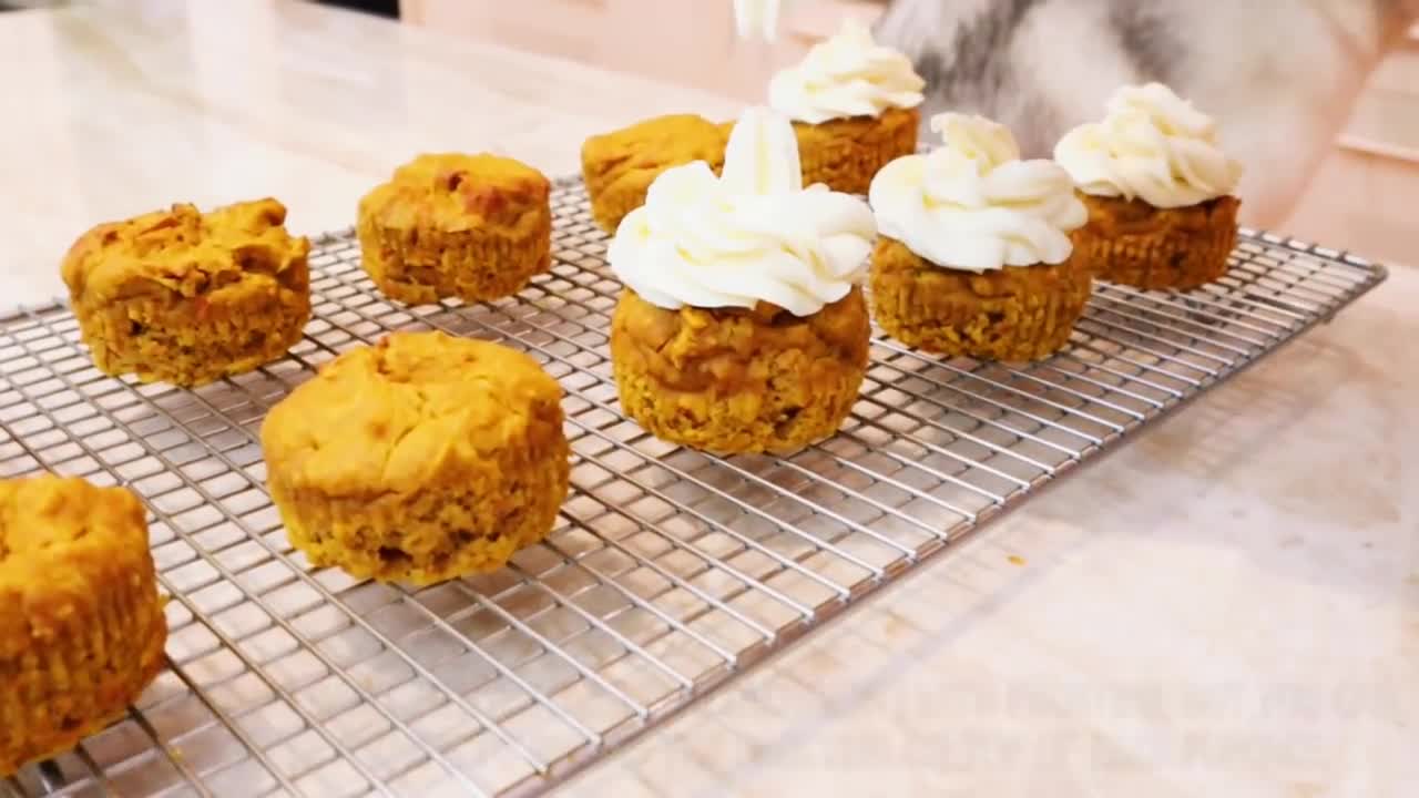 Husky Helps Make BIRTHDAY PUPCAKES! (And taste tests every ingredient first!