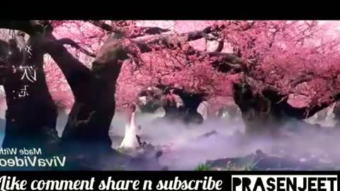 Amazing Chinese Beautiful Clip Video By Prasenjeet Meshram