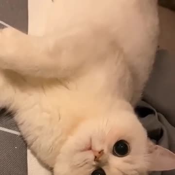 #FYP #ForYou #TikTokFYP #ForYouPage #Trending #Viral #ExplorePage #FYPシ