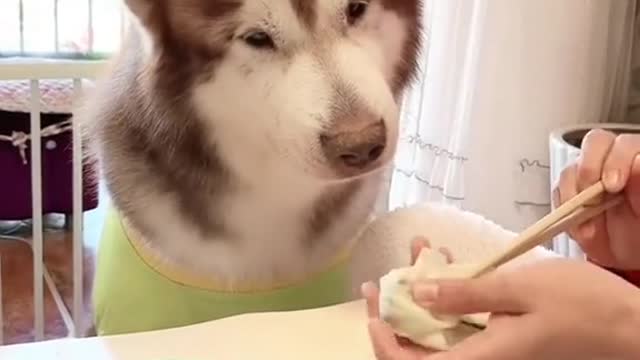 To take a bite, keep a close eye on each step