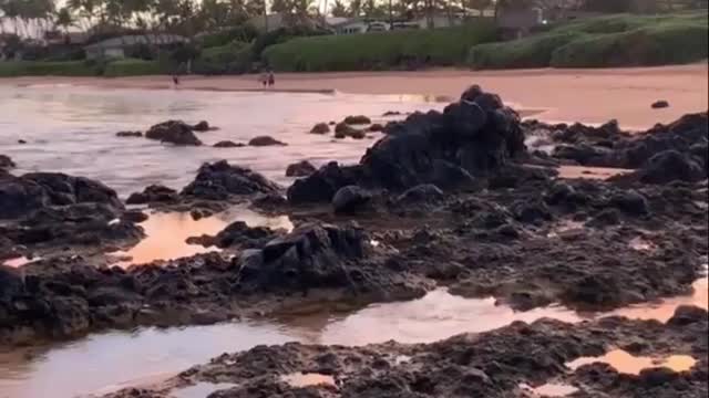 Beautiful Maui morning by