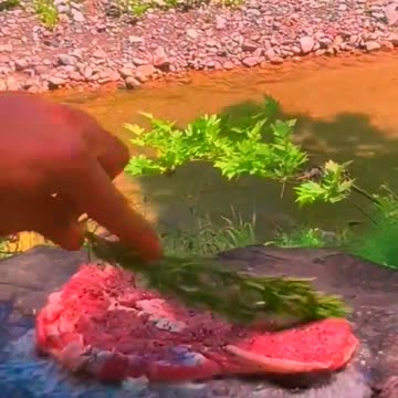 Natural cooking in natural life, best recipes, food, eat, eating, cooking skills, how to cook #24