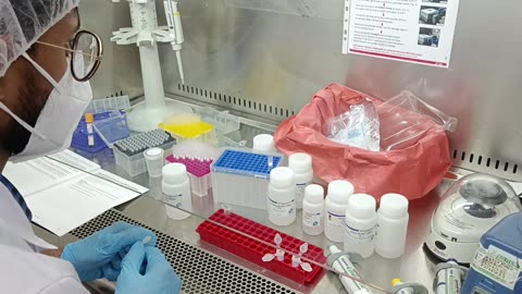 RNA EXTRACTION