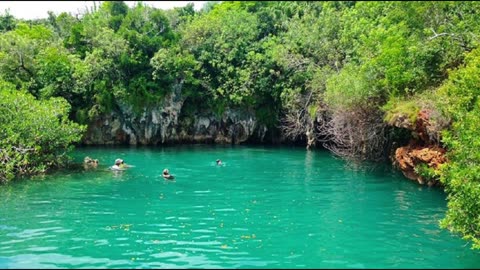 BERMUDA