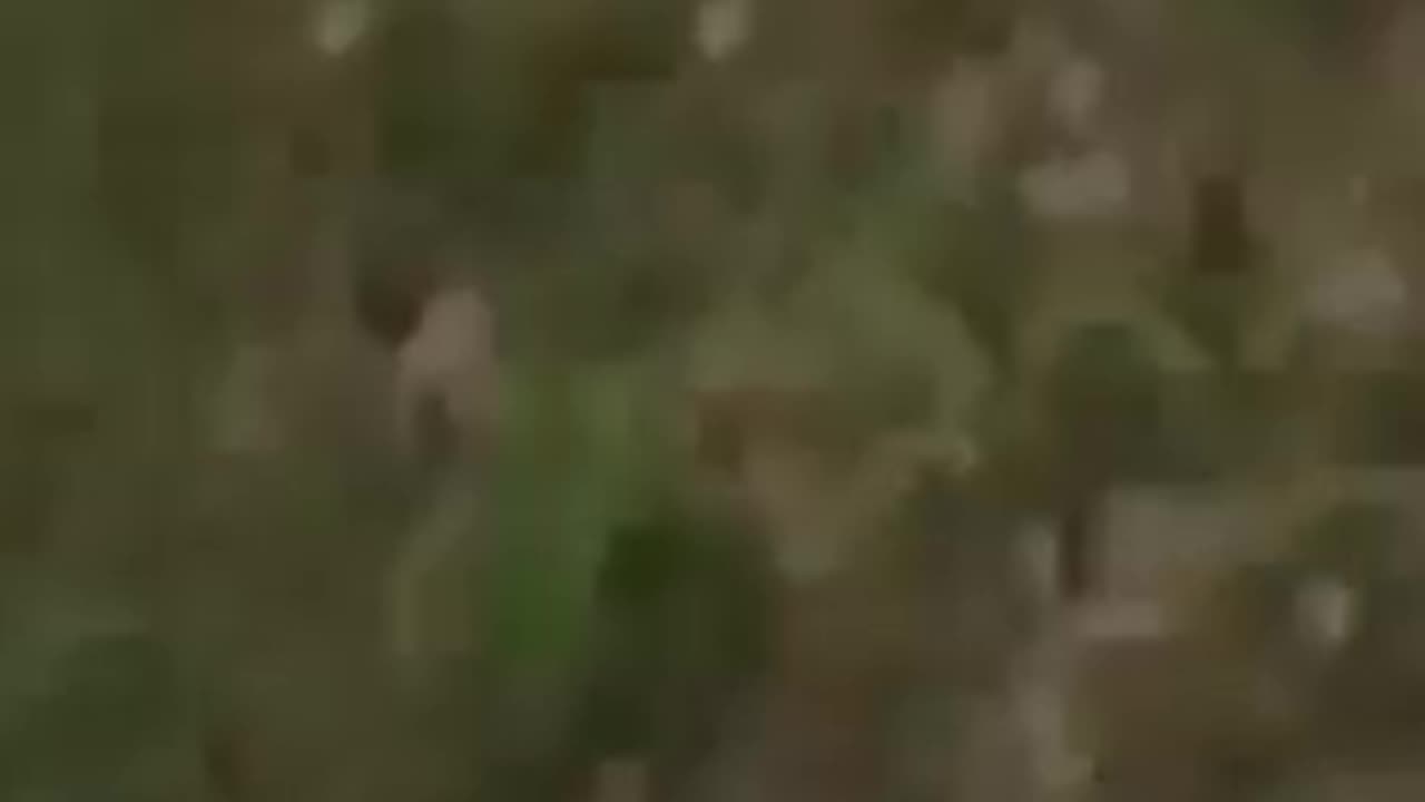 €@$#%!!😭🤬