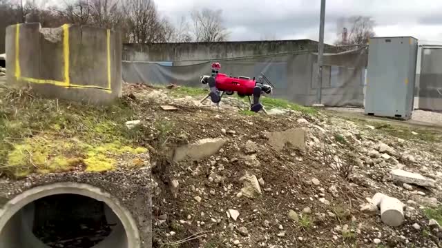 Robot dog takes a rough hike for research