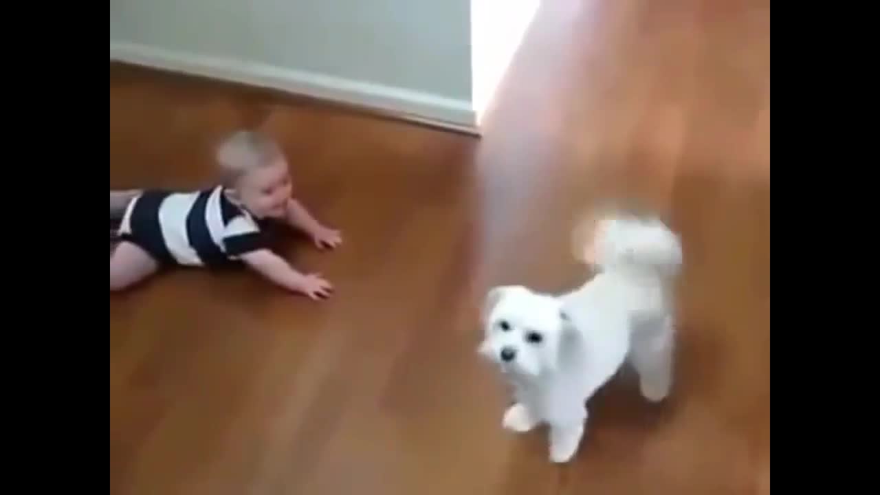 Friendship for all | Funny animals with beautiful children | Happiness is real