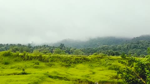 Nature Beauty Assam,Train journey