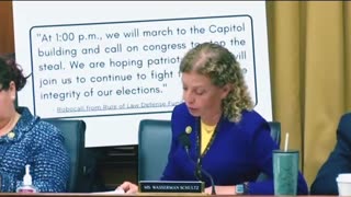 Wasserman Schultz wants to issue a subpoena