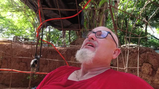 WHAT'S HAPPENING ON THE DOME 2