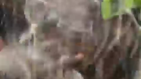 Yankees celebrate winning the AL East 🍾