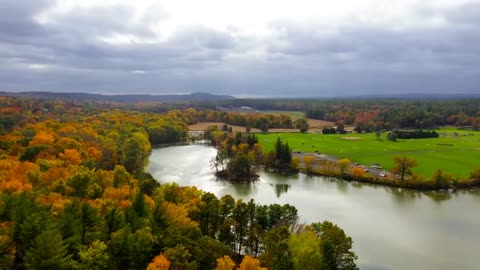 Enchanting Autumn Forests with Beautiful Piano Music