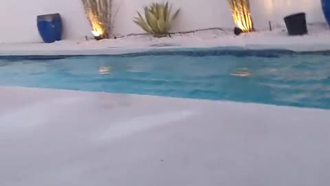 Hilarious Earthquake 7.1 Magnitude California!