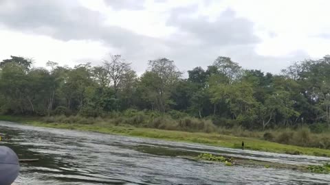 Canoe at rapti sauraha