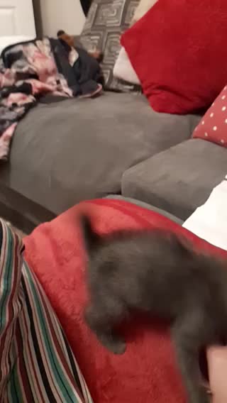 MJCS 9) ATTACK MODE 11/11/2020