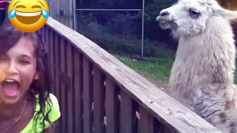 Super funny moments humans and animals 2021