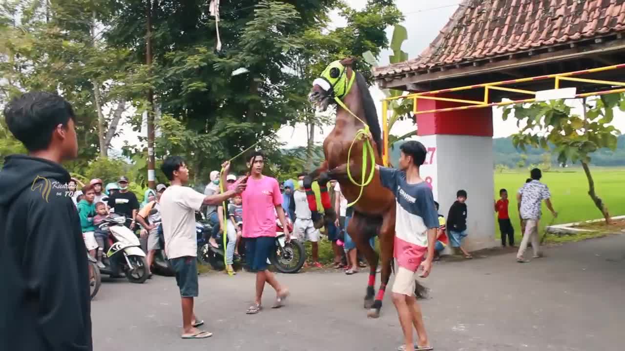 HORRIBLE HORSE __ RAINBOW HORSE SKILLS AT THE SECOND POINT OF GINTUNGAN VILLAGE PASSING EXERCISES