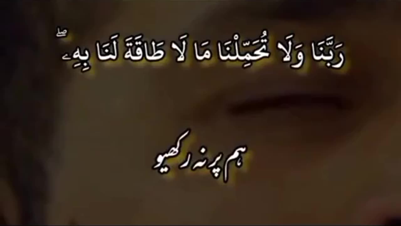 Dua
