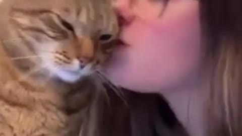 Cute Cats / Funny Videos