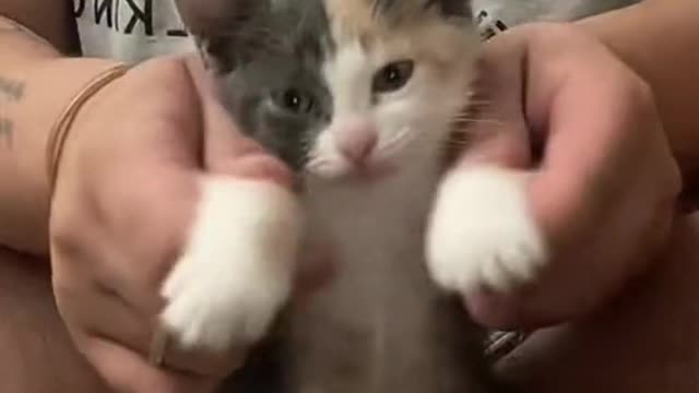 Perdi tudo com ela virando a cabeça no final