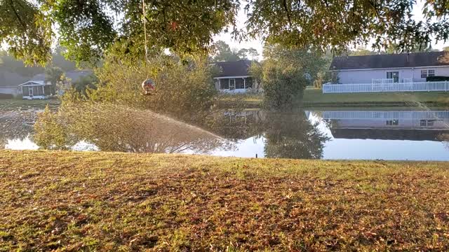 Caught by the Sprinklers