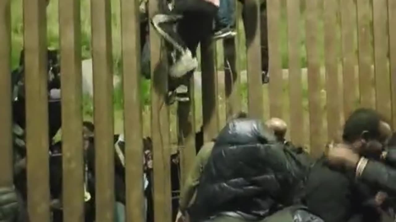 The border is safe and effective.