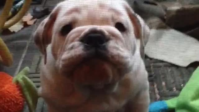 Buddha's first lesson in timeout