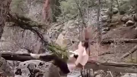 Stupid funny videos