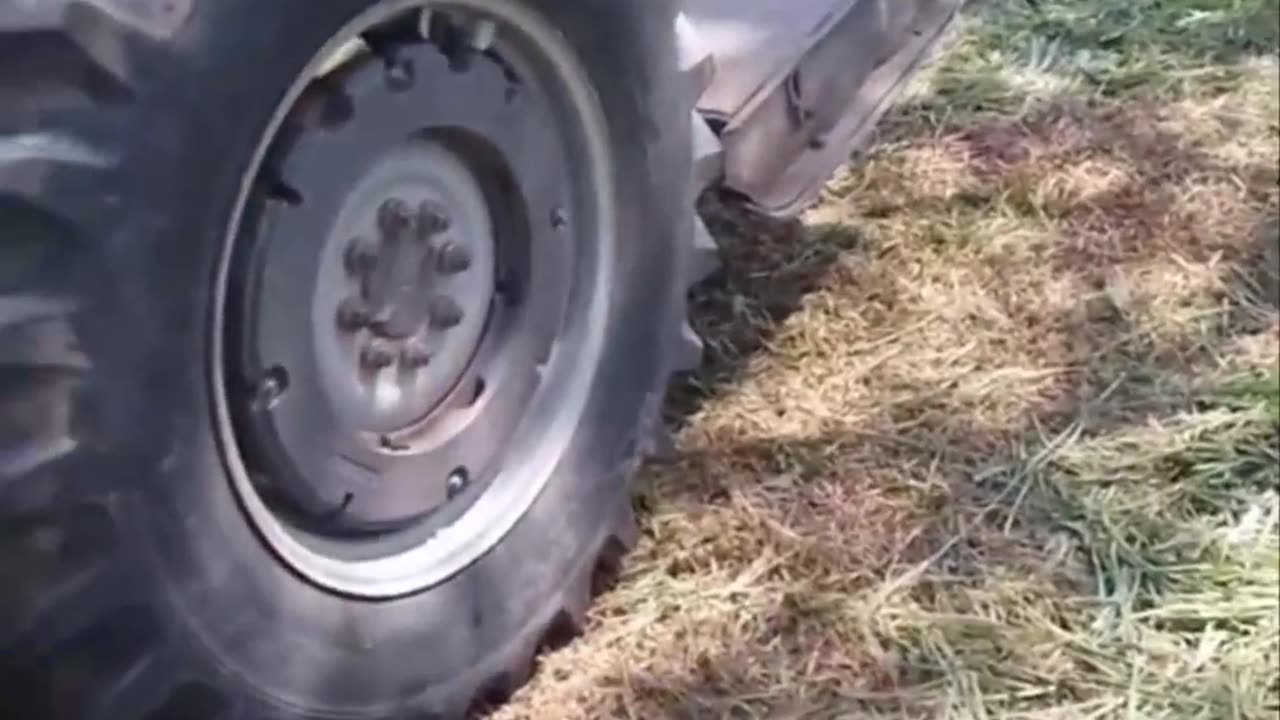 CRC vídeos curiosos