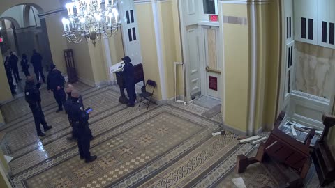 0102USCS01SenateWingDoornearS139_2021-01-07_00h00min00s260ms.mp4