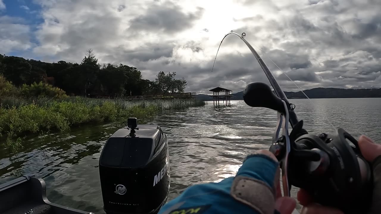 BRENDA LANDS A GOOD BASS ON CLEAR LAKE, BUT IT WAS CLOSE!