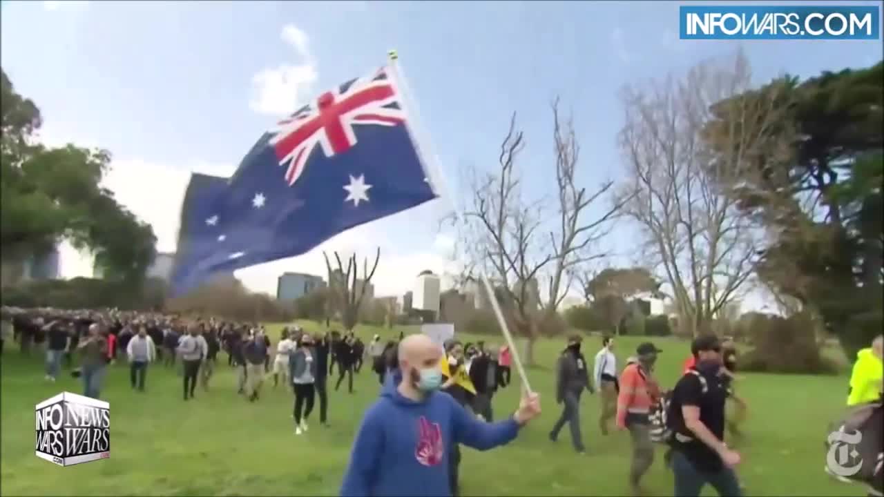 BREAKING : ELITES PANICKING & CALLING FOR ARREST OF PATRIOTS!!! TNTV.