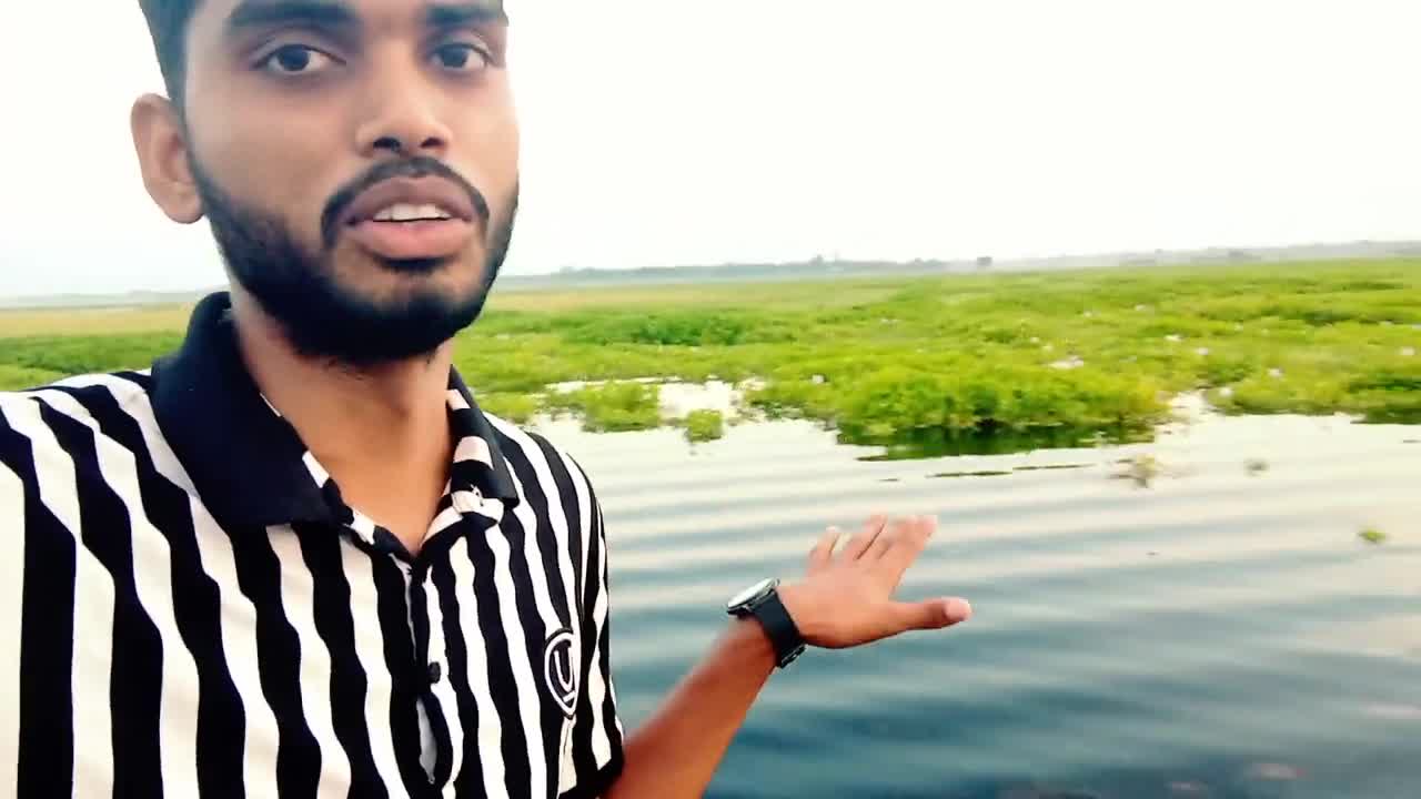 Bangladesh's famous Natore Chalanbil. Shapla Bill of Natore Niloy