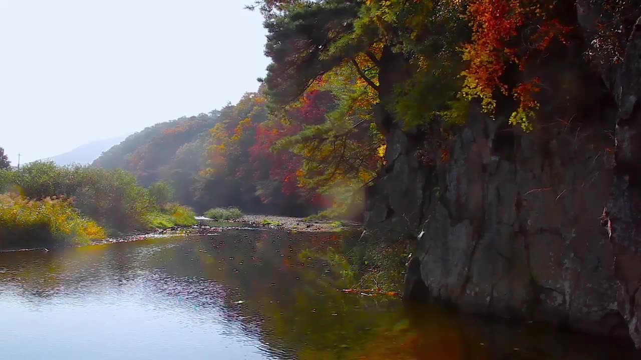 Serene Escapes: Waterfalls, Bird