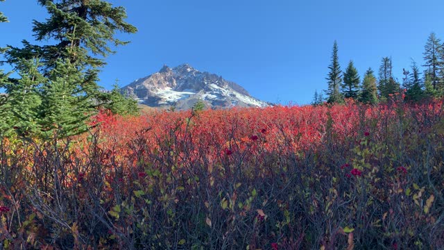 Oregon – Mount Hood – Mountain Views Framed with Autumn Splendor – 4K