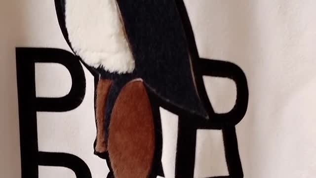 THRIFTED SWEATER: Beautiful Parrot