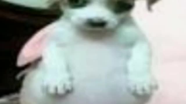 Shitpost #1