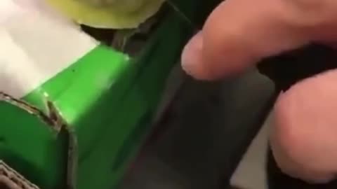 They banned Avocados because they are FULL OF DRUGS