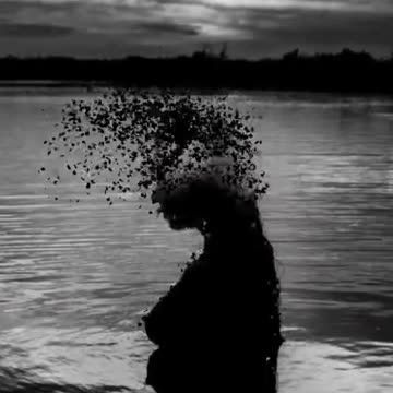 Silhouette Explosion