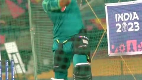 Cricket lover