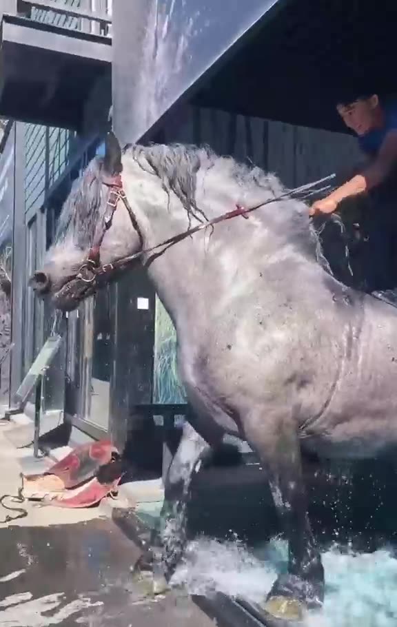 The boy play shower 🚿 with hours