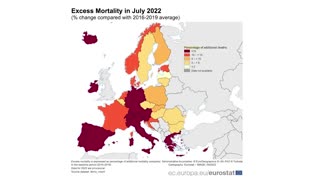 Minister European Parliment - Correlation between excess Vaccination 16% excess mortality