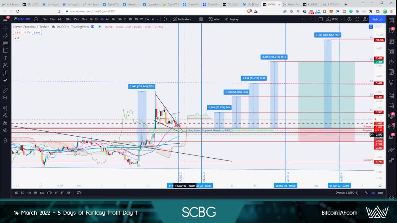 Bitcoin and ALT Coin Targets - what comes next